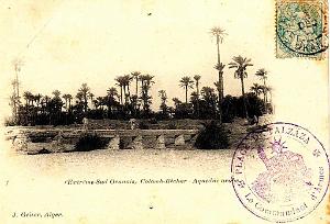 Colomb bechar 121